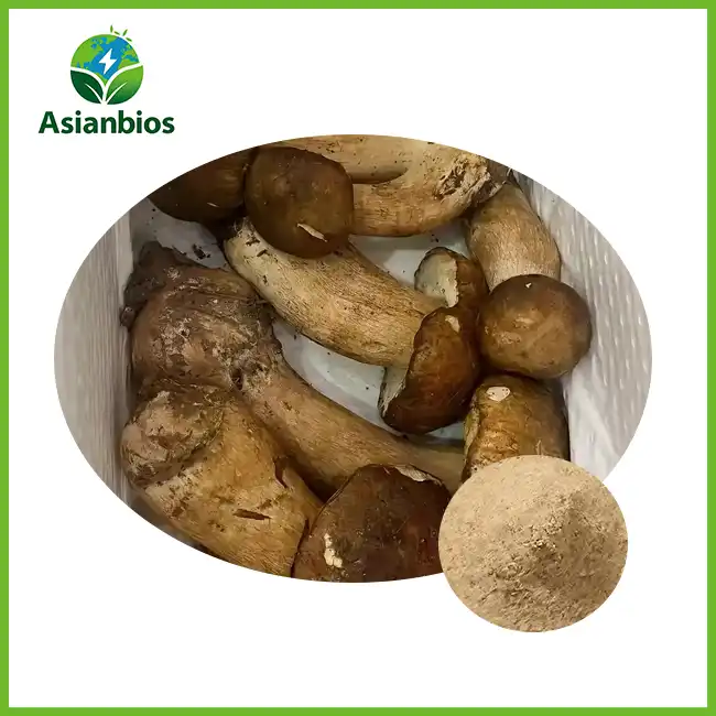 Boletus Mushroom Powder